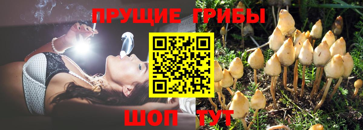Псилоцибиновые грибы мухоморы Нижнеудинск