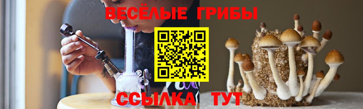 Галлюциногенные грибы мухоморы  Вход с VPN  Галлюциногенные грибы GOLDEN TEACHER  Нижнеудинск 
